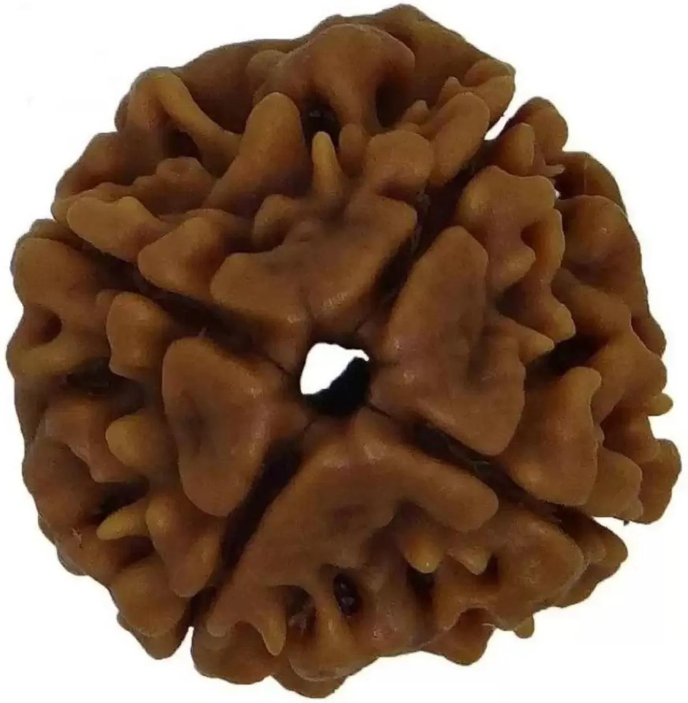 Additional Image 8