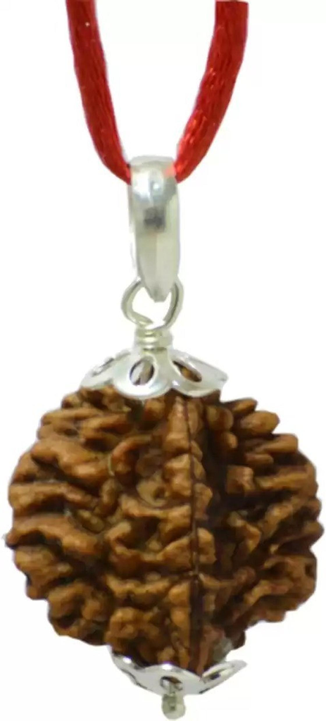 Additional Image 7