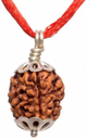 Chopra Gems Wood 4 Mukhi Rudraksha Brown (Men and Women)